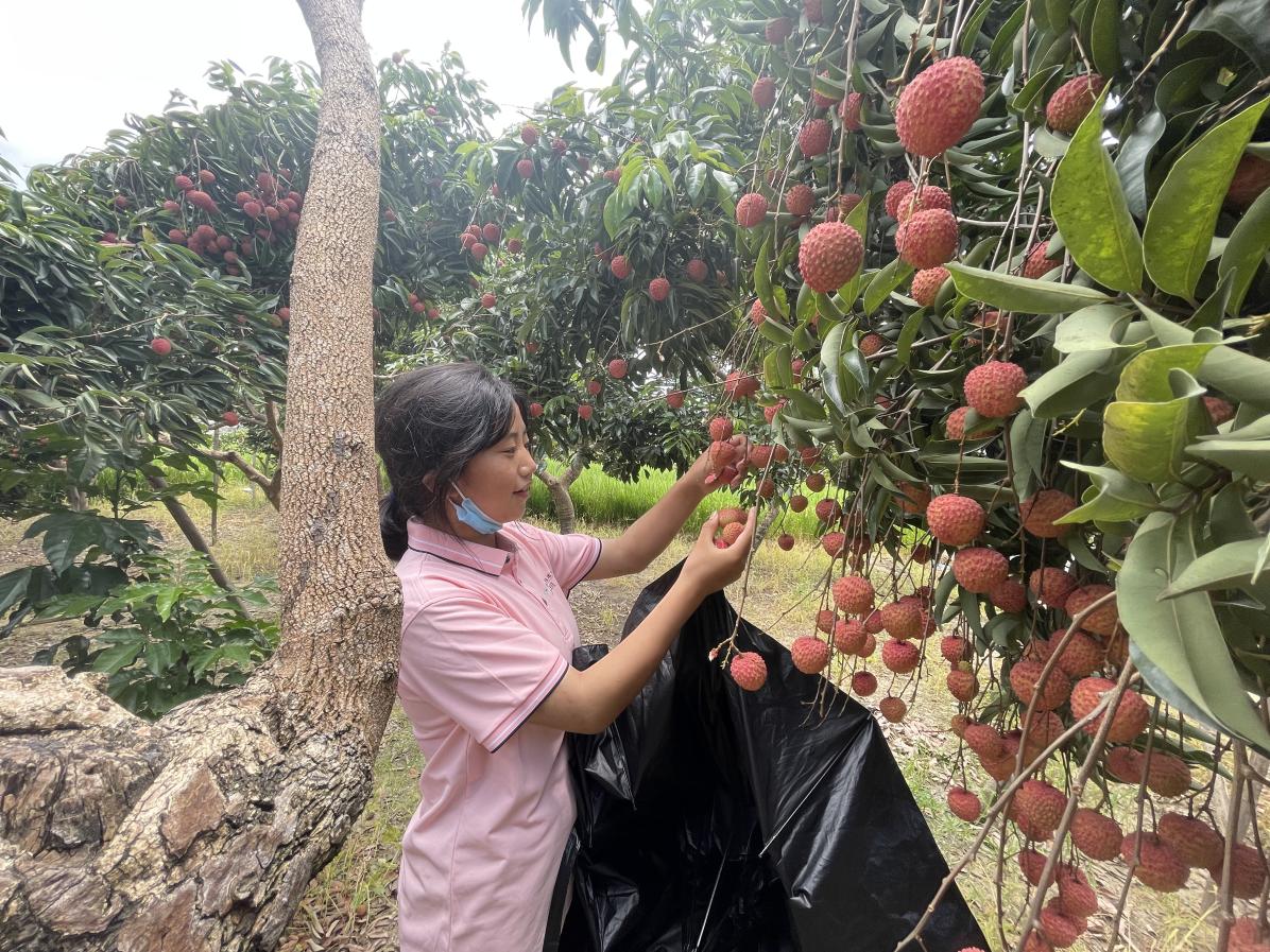 读万卷书，走万里路——广州科技职业技术大学旅游管理专业为西藏林职访学班开展乡村与生态旅游实践课程教学