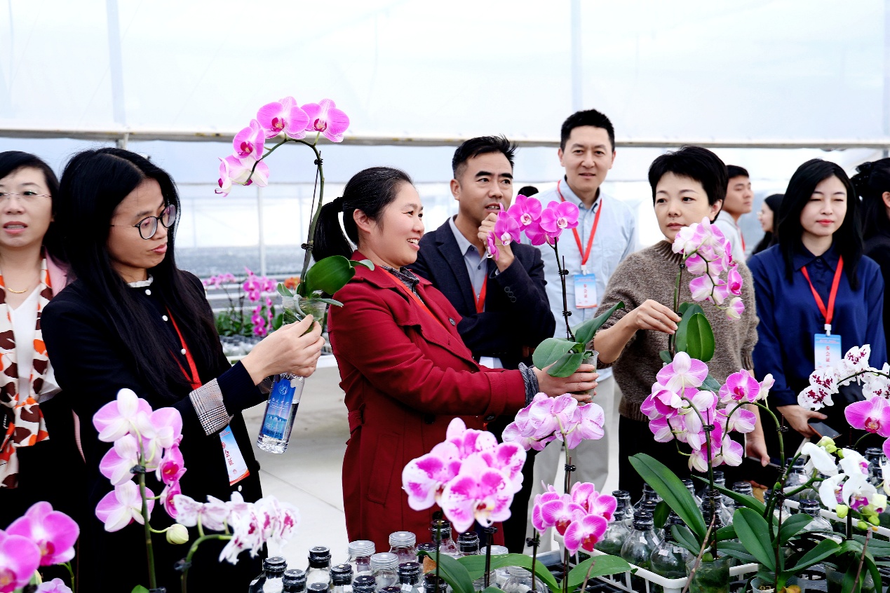 一群粉色的花

AI 生成的内容可能不正确。